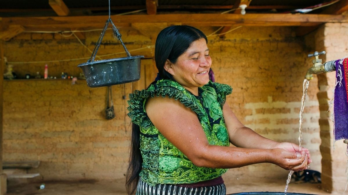 Flushing for Good: How Who Gives A Crap Is Turning Toilet Paper Into a Global Force for Change