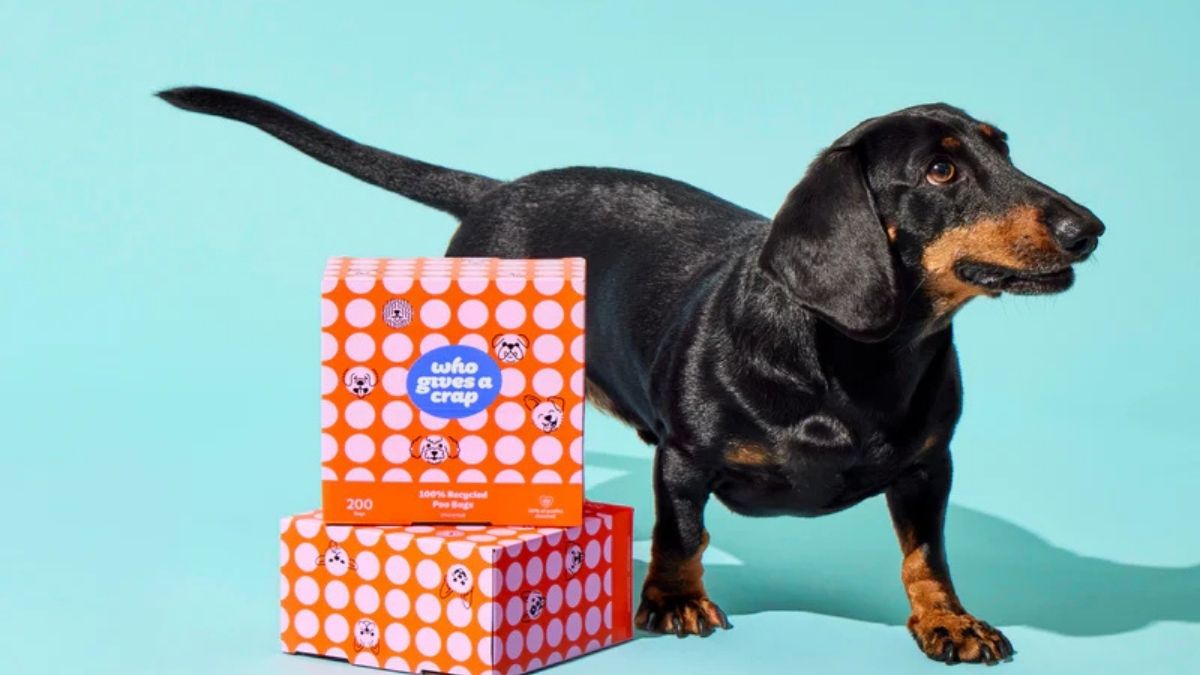 Who Gives A Crap Recycled Dog Poo Bags: Eco-Friendly Pet Waste Solutions